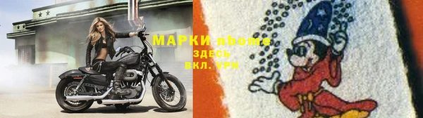 спайс Бородино