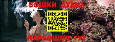 индика Апшеронск