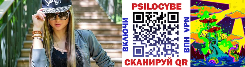 Псилоцибиновые грибы Psilocybe  купить   Верхняя Пышма 