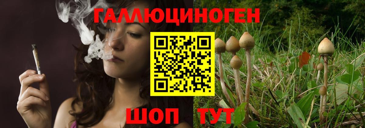 Галлюциногенные грибы Psilocybine cubensis  Вход с VPN  Верхняя Пышма  Галлюциногенные грибы Psilocybe 
