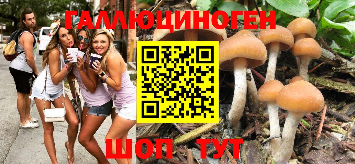 Псилоцибиновые грибы MAGIC MUSHROOMS  Верхняя Пышма  Галлюциногенные грибы Magic Shrooms 