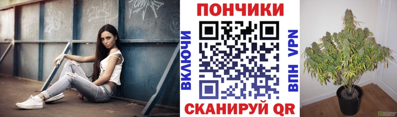 Каннабис семена дарк нет Telegram Верхняя Пышма